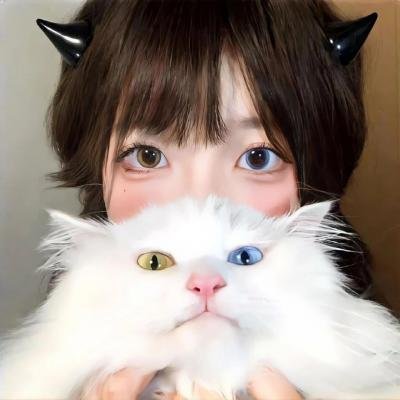 赛伦的领主